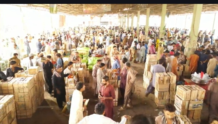 Sindh Agriculture Office