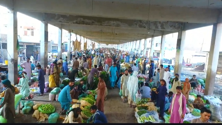 Sindh Agriculture Office