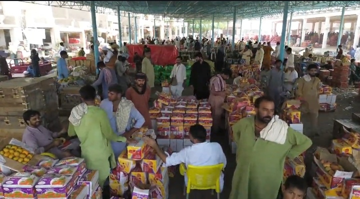 Sindh Agriculture Office
