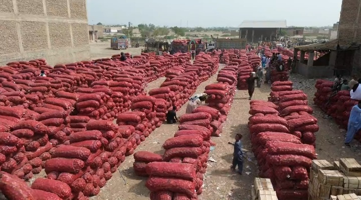 Sindh Agriculture Office