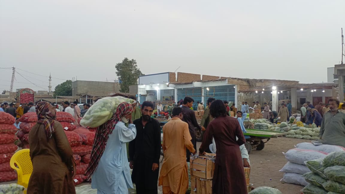 Sindh Agriculture Office