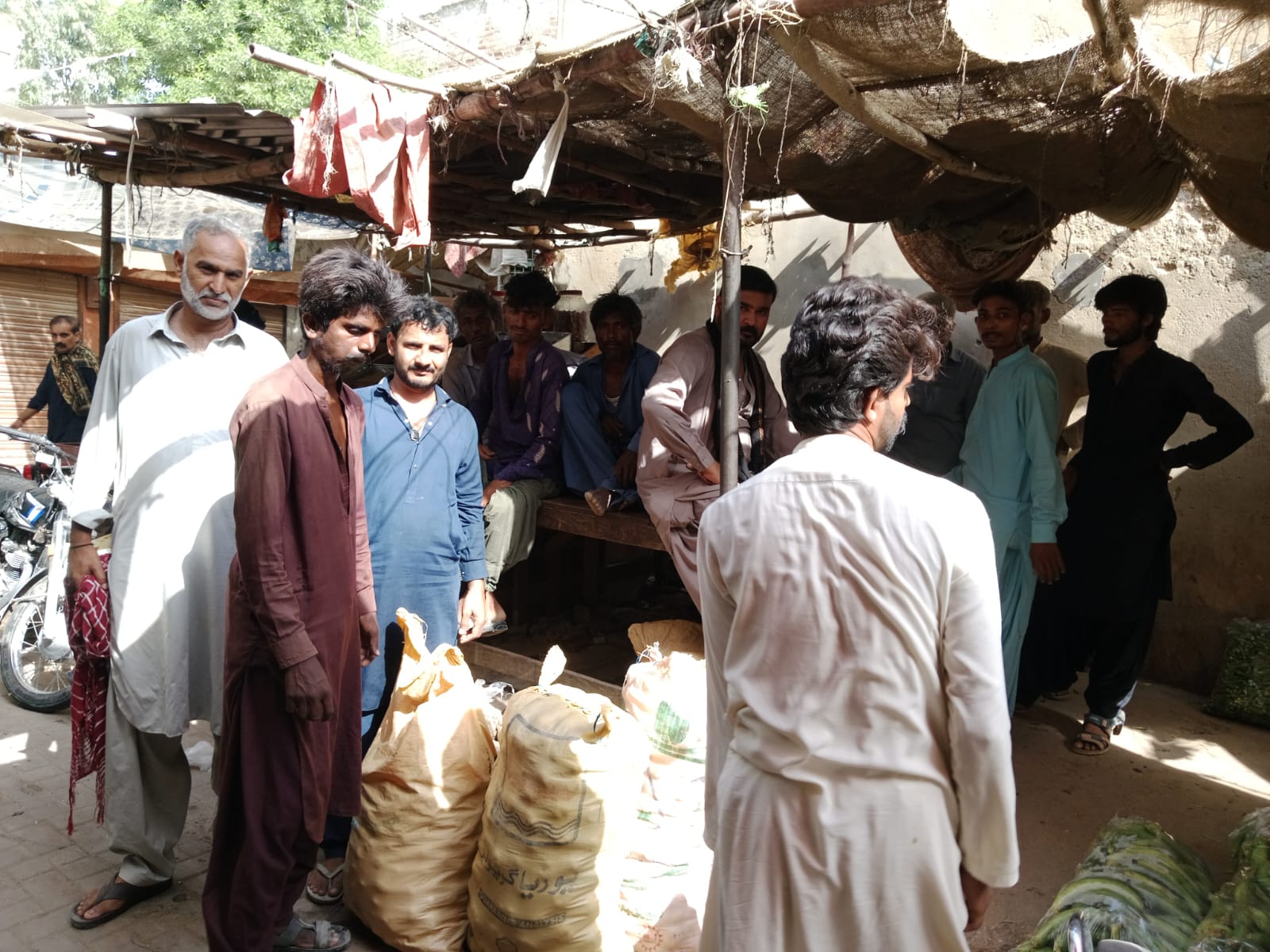 Sindh Agriculture Office