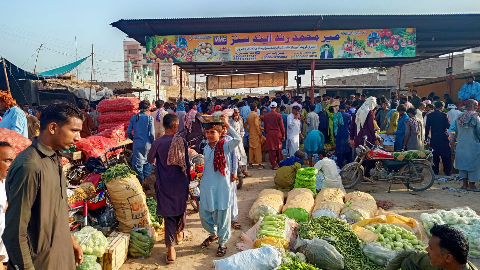 Sindh Agriculture Office