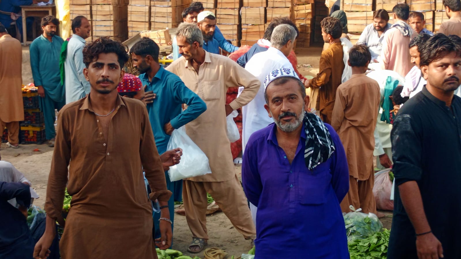 Sindh Agriculture Office