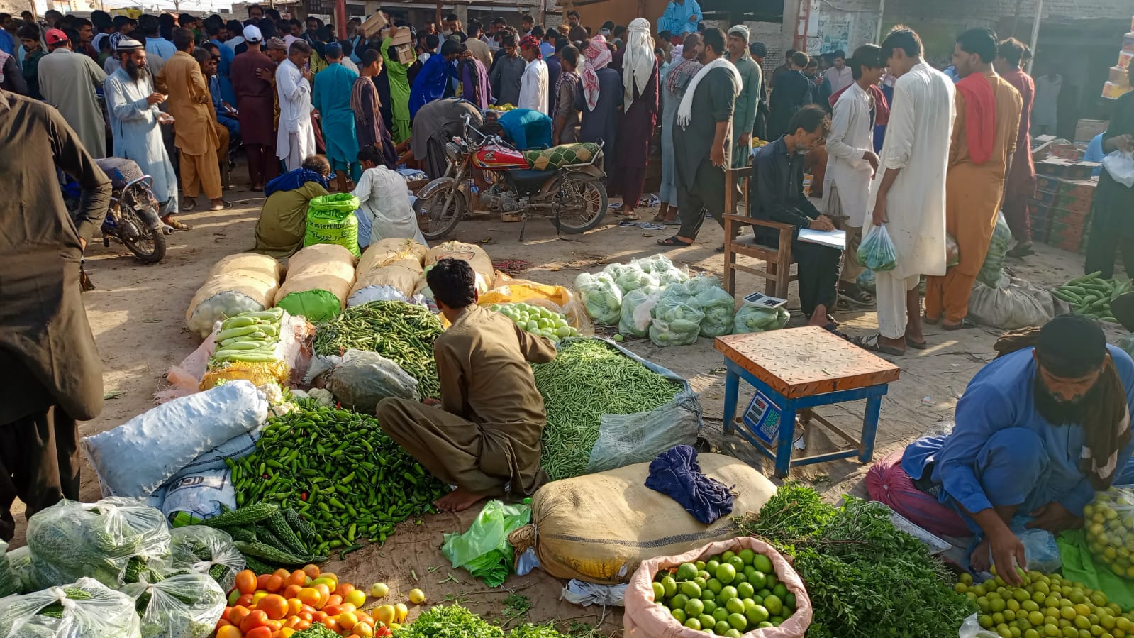 Sindh Agriculture Office