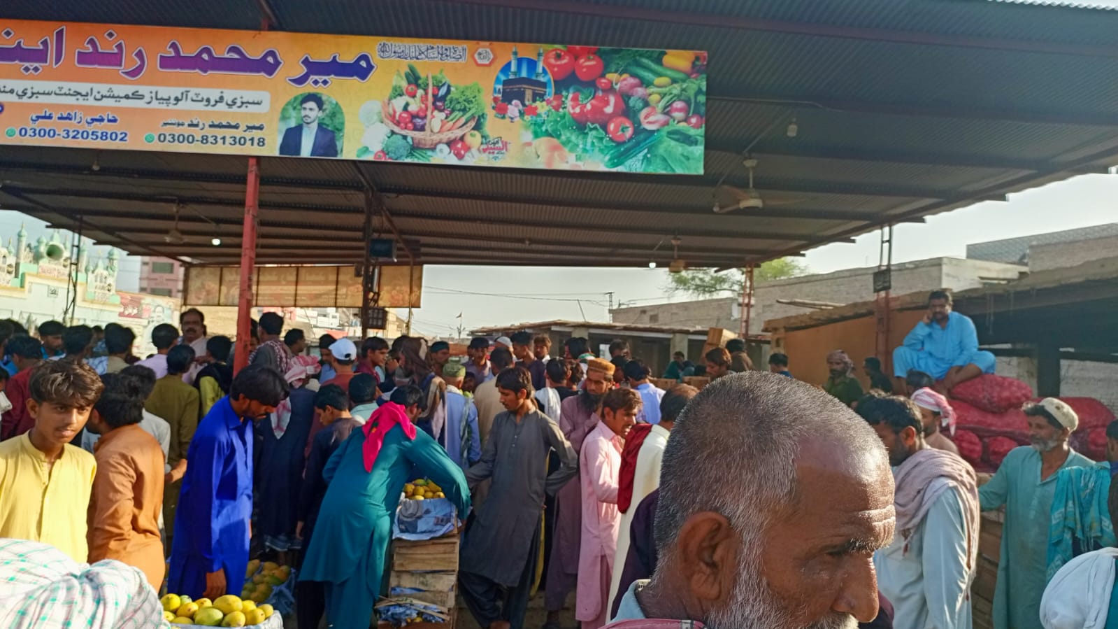 Sindh Agriculture Office