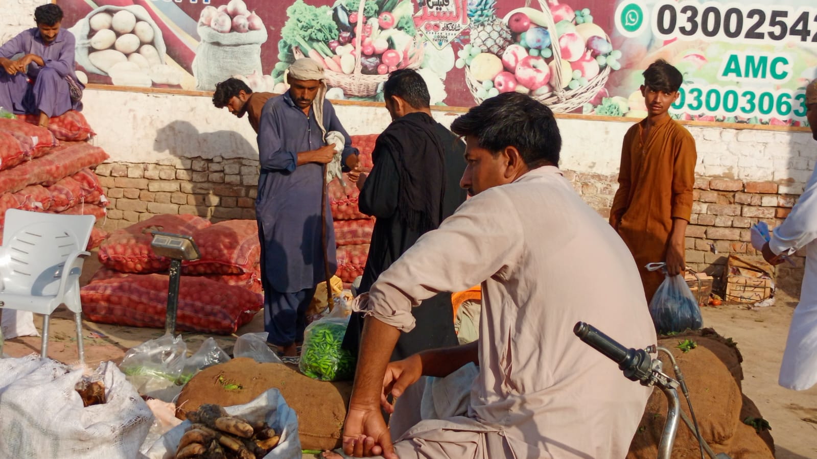 Sindh Agriculture Office