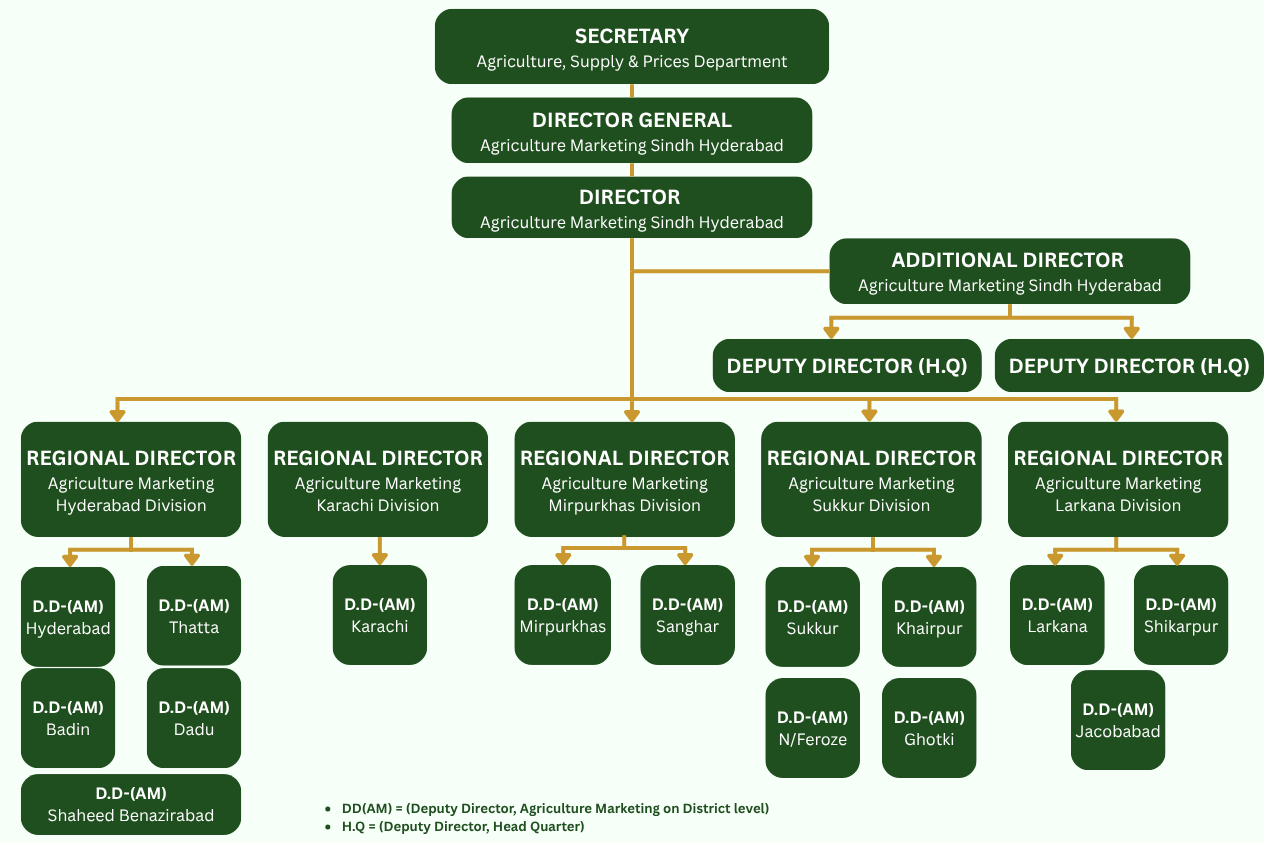 Organization Chart
