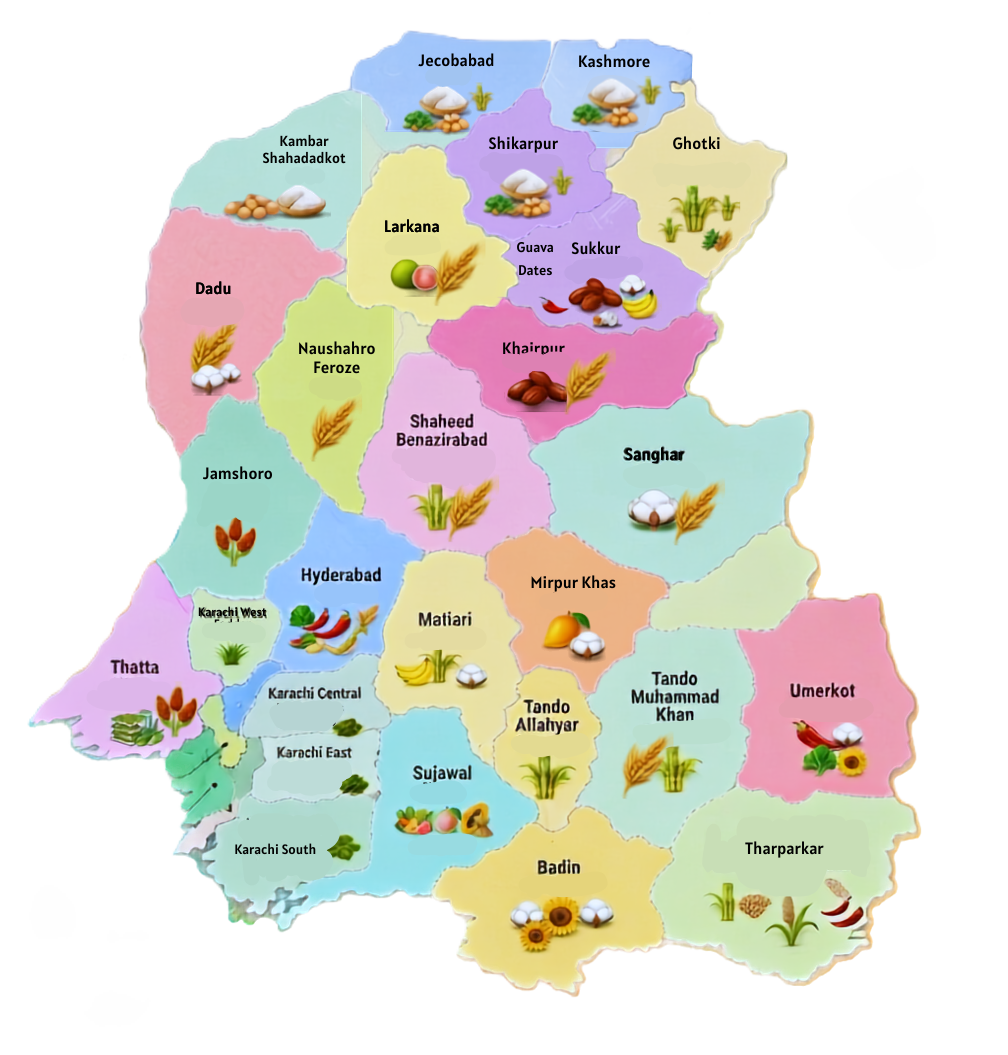 Crops in Sindh — regional map